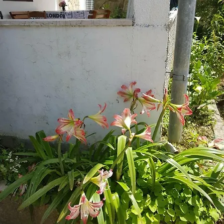 Valeria Apartment Lopar