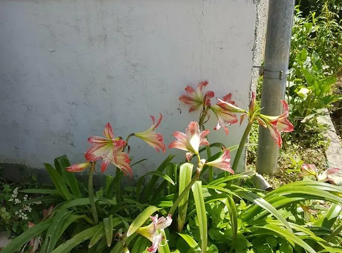 Valeria Appartamento Lopar